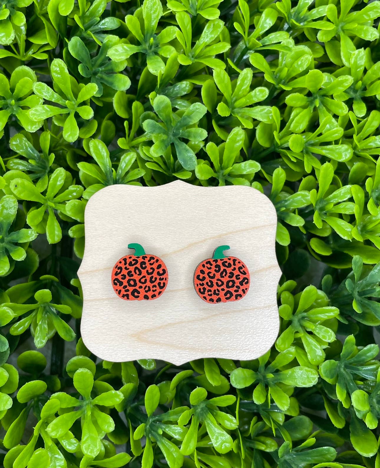 Leopard Pumpkin Studs