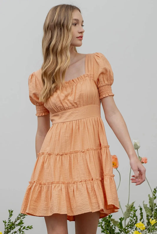 Clementine Delight Dress